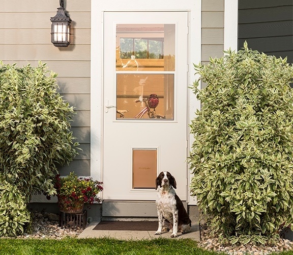 Storm door with shop dog door built in